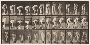 Talerz 433. Wyżymanie ubrań autorstwa Eadweard Muybridge