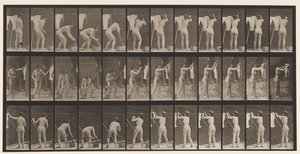 Talerz 434. Wiszące ubrania na sznurku, 1872-1885 autorstwa Eadweard Muybridge