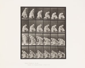 Płyta 438. Odstawianie wiadra i przygotowanie do szorowania, 1885 autorstwa Eadweard Muybridge