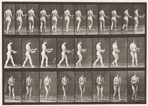 Płyta 43. Chodzenie, kropienie wodą z basenu, odwracanie się autorstwa Eadweard Muybridge