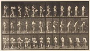 Talerz 441. Noś wazon i kładź go na stole, 1872-1885 autorstwa Eadweard Muybridge