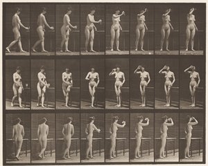 Talerz 443. Picie z kielicha w pozycji stojącej autorstwa Eadweard Muybridge