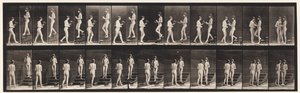 Płyta 448. Dwa modele autorstwa Eadweard Muybridge