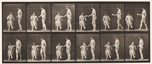 Talerz 450. Dwa modele, 8 filiżanek herbaty, 1 filiżanka i napoje, 1872-1885 autorstwa Eadweard Muybridge
