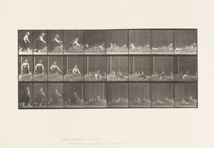 Płyta 455. Rzucanie się na stertę siana autorstwa Eadweard Muybridge