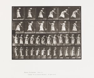 Płyta 456. Ranking to 165 autorstwa Eadweard Muybridge