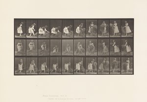 Tabliczka 458. Podnoszenie garści siana, obracanie, rzucanie autorstwa Eadweard Muybridge