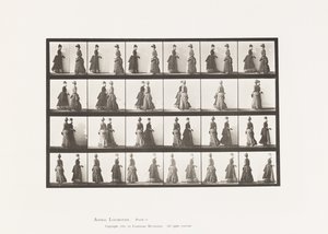 Płyta 45. Chodzenie na spotkaniu dwóch modeli i częściowe obracanie się autorstwa Eadweard Muybridge