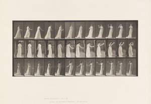 Tablica 462. Wylewanie libacji na ziemię, picie z kielicha, 1885 autorstwa Eadweard Muybridge