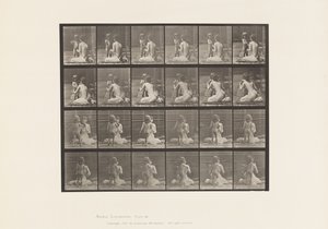 Tabliczka 466. Dwa modele, dziecko 70N, bukiet przynoszący do 12, 1885 r autorstwa Eadweard Muybridge