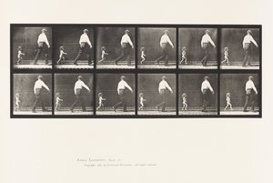 Tabliczka 470. Dziecko 20N, biegnące za mężczyzną autorstwa Eadweard Muybridge