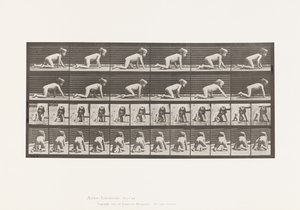 Tabliczka 471. Dziecko, Czołganie się na rękach i kolanach, 1885 autorstwa Eadweard Muybridge