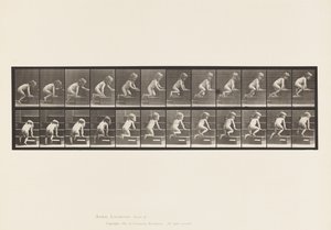 Tabliczka 472. Dziecko, Crawling Upstairs, 1885 (kolotypia na papierze) autorstwa Eadweard Muybridge