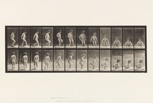 Tabliczka 476. Dziecko, siadające na ziemi autorstwa Eadweard Muybridge