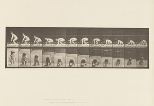Tablica 479. Dziecko, Wstawanie z ziemi autorstwa Eadweard Muybridge