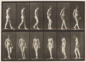 Płyta 47. Chodzenie i odwracanie się autorstwa Eadweard Muybridge