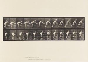 Płyta 480. Dziecko, chodzenie i czołganie się po schodach autorstwa Eadweard Muybridge