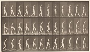 Płyta 482. A, Chodzenie; B, schody wznoszące; C, rosnąco, 1872-1885 autorstwa Eadweard Muybridge