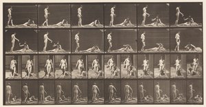 Płyta 485. Dwa modele; A, 10 Stanie i napełnianie kielicha;, 1872-1885 autorstwa Eadweard Muybridge