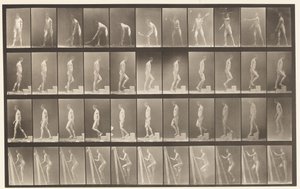 Płyta 486. A, Tenis na trawniku; B, Wstępując o stopień;, 1872-1885 autorstwa Eadweard Muybridge