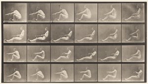 Płyta 492. A autorstwa Eadweard Muybridge