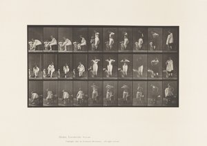 Tablica 494. Różne fazy toalety autorstwa Eadweard Muybridge