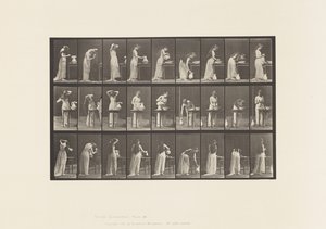 Tablica 496. Różne fazy toalety, 1885 autorstwa Eadweard Muybridge