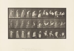Tablica 497. Różne fazy toalety, 1885 autorstwa Eadweard Muybridge