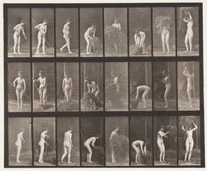 Tabliczka 499. Grabienie i pakowanie siana, 1872-1885 autorstwa Eadweard Muybridge