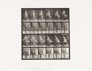 Płyta 49. Chodzenie i szybkie obracanie się autorstwa Eadweard Muybridge