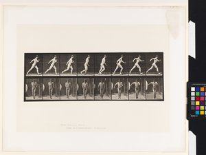 Płyta 4. Chodzenie autorstwa Eadweard Muybridge