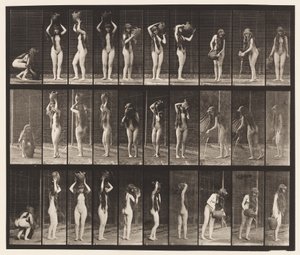 Talerz 500. Różne ruchy ze słoikiem z wodą autorstwa Eadweard Muybridge