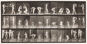 Tabliczka 501. Różne, pochylanie się, klęczenie itp. autorstwa Eadweard Muybridge