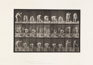 Płyta 505. Murowanie autorstwa Eadweard Muybridge