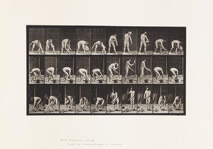 Płyta 506. Murowanie autorstwa Eadweard Muybridge