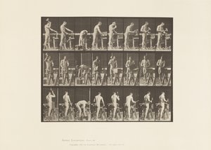 Płyta 507. Stolarstwo autorstwa Eadweard Muybridge