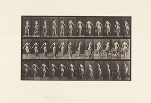 Płyta 50. Chodzenie, noszenie wiadra autorstwa Eadweard Muybridge