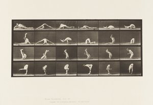 Tablica 510. Wykrzywienia na ziemi, 1872-1885 autorstwa Eadweard Muybridge