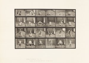 Płyta 511. Wykrzywienia na ziemi autorstwa Eadweard Muybridge