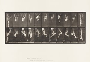 Płyta 512. Wykrzywienia na pierścieniach autorstwa Eadweard Muybridge