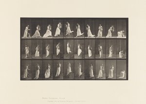 Płyta 515. Schody wstępujące i zstępujące itp., 1885 r. autorstwa Eadweard Muybridge