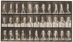 Płyta 51. Chodzenie i odwracanie się, używanie garnka do krojenia, 1872-1885 autorstwa Eadweard Muybridge
