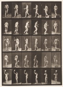 Płyta 525. A, stopień opadający; B, stopień wstępujący;, 1872-1885 autorstwa Eadweard Muybridge