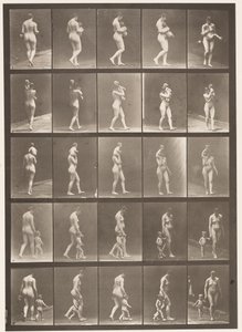 Płyta 528. A,B,C autorstwa Eadweard Muybridge