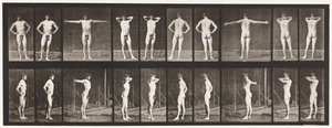 Talerz 529. Różne pozy autorstwa Eadweard Muybridge