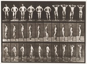 Talerz 530. Różne pozy autorstwa Eadweard Muybridge