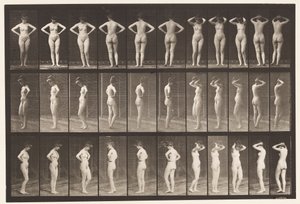 Płyta 531. Różne pozy autorstwa Eadweard Muybridge
