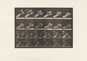 Płyta 533.Ruch ręki; Splatanie się za ręce, 1885 autorstwa Eadweard Muybridge