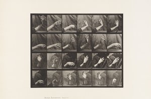 Płyta 535. Ruch ręki; Czas bicia, 1885