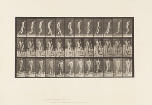 Tabliczka 537. Pojedyncza Amputacja Nogi; Skakanie z kulami autorstwa Eadweard Muybridge